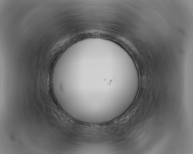 X0000112741111200908201029