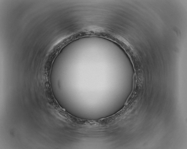 X0000112741112200908201029