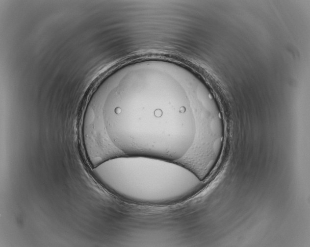 X0000112741113200908201029