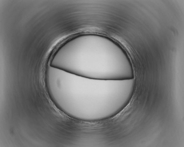 X0000112741115200908201029