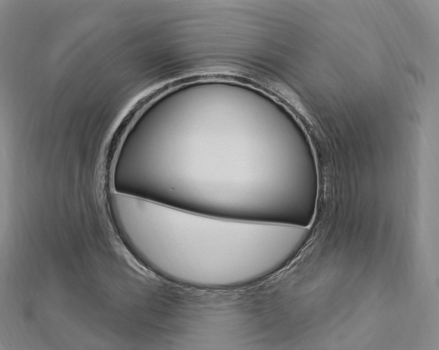X0000112741116200908201029