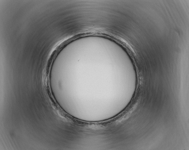 X0000112741117200908201029