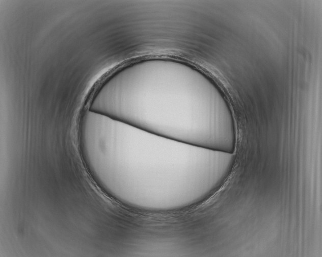 X0000112741119200908201029