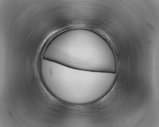 X0000112741123200908201029