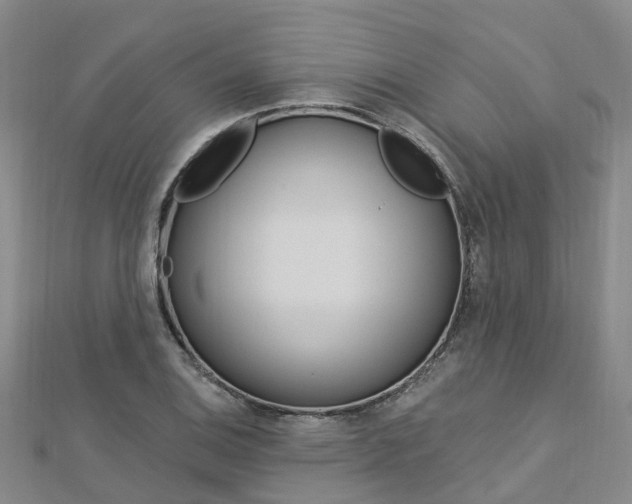 X0000112741124200908201029