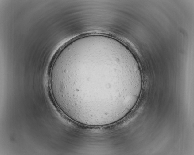 X0000112741125200908201029
