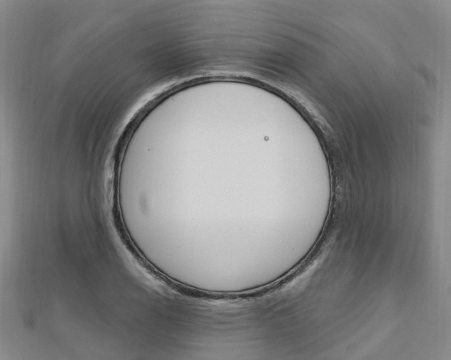 X0000112741126200908201029