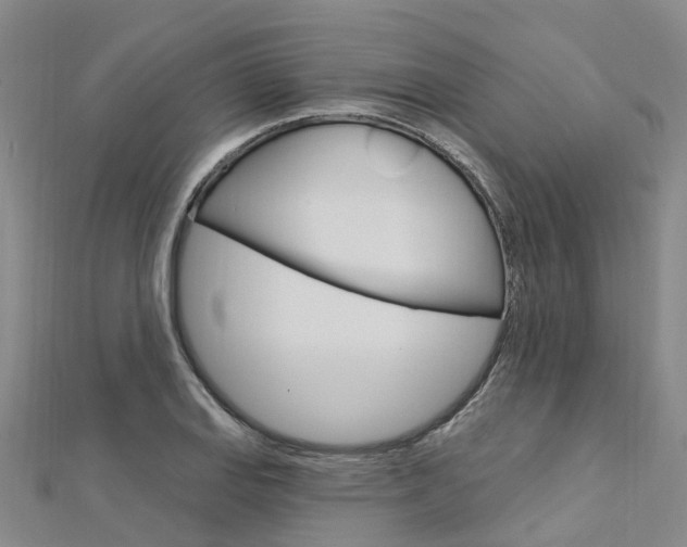 X0000112741127200908201029