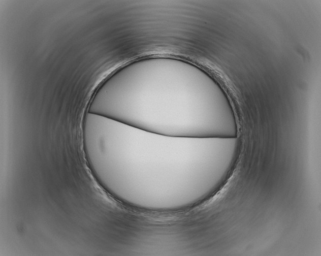 X0000112741129200908201029