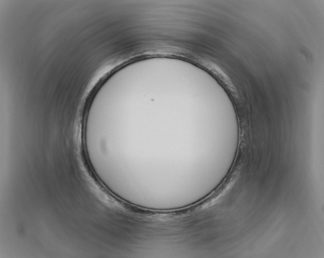 X0000112741130200908201029