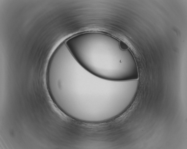 X0000112741132200908201029