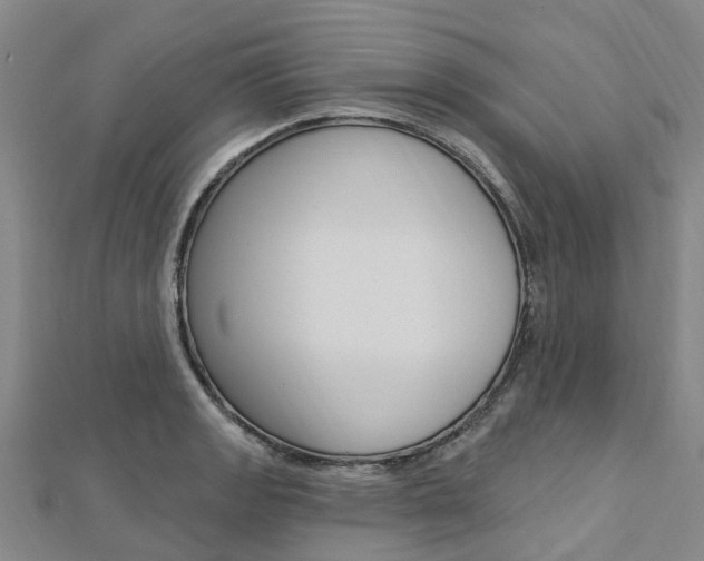 X0000112741133200908201029