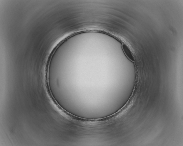 X0000112741134200908201029