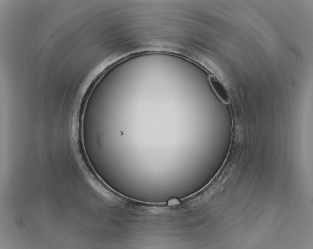 X0000112741136200908201029