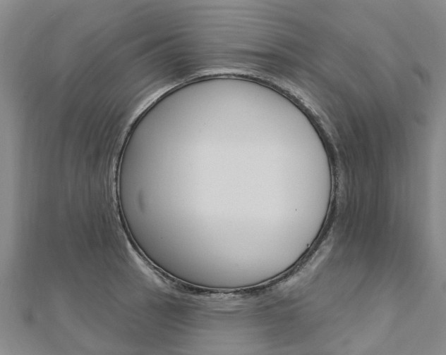 X0000112741137200908201029