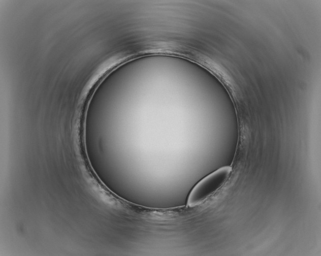 X0000112741138200908201029