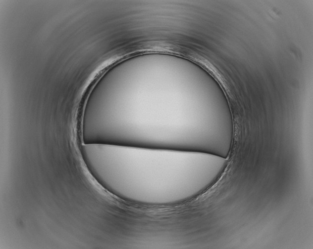 X0000112741139200908201029