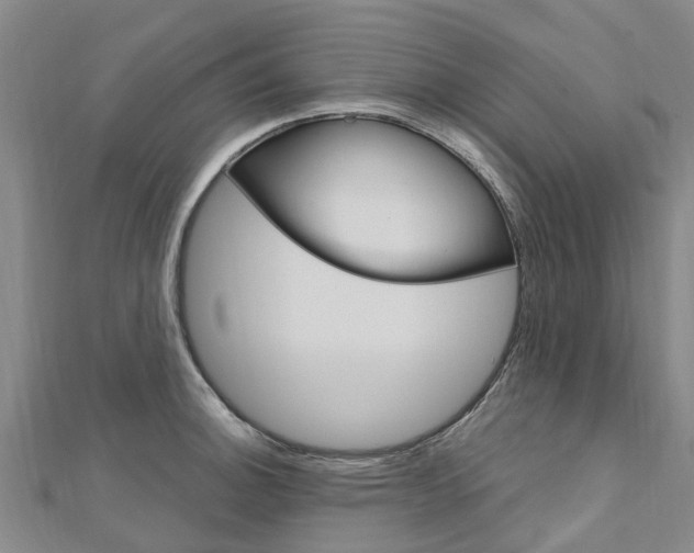 X0000112741140200908201029