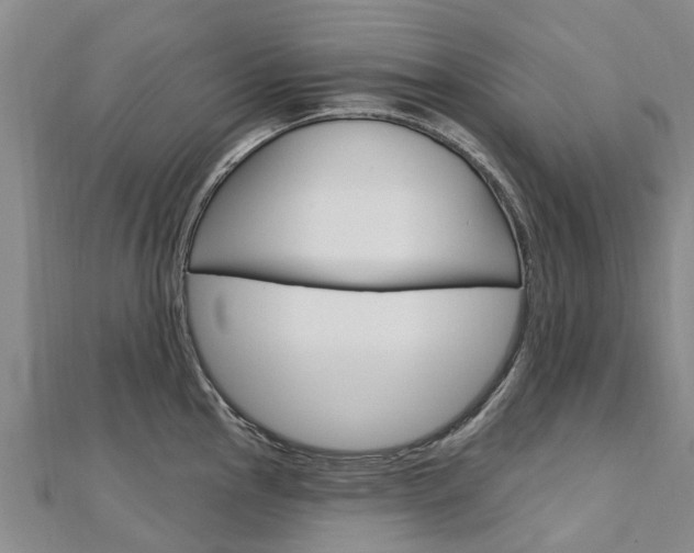 X0000112741145200908201029