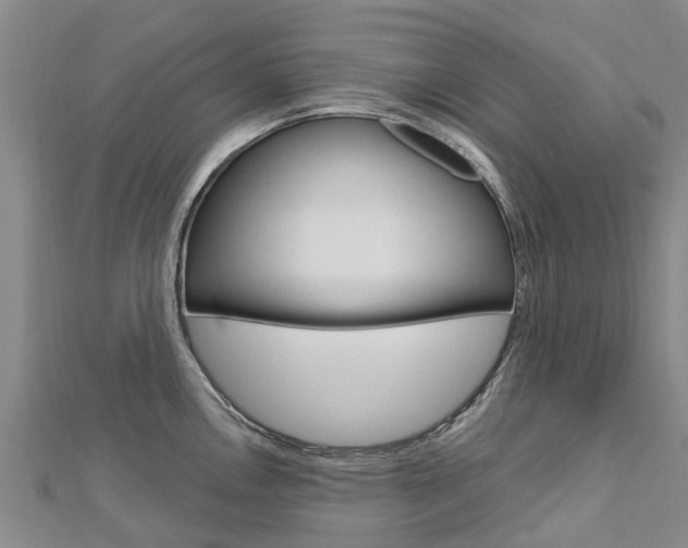 X0000112741146200908201029