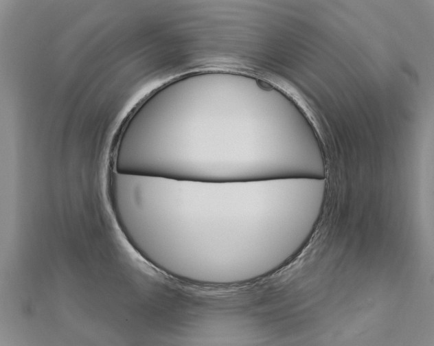 X0000112741147200908201029