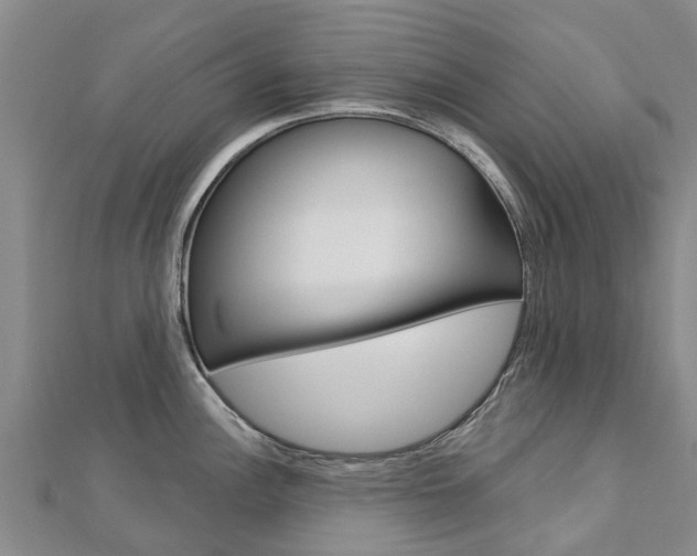 X0000112741148200908201029