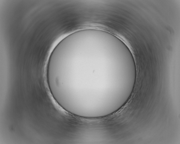 X0000112741152200908201029