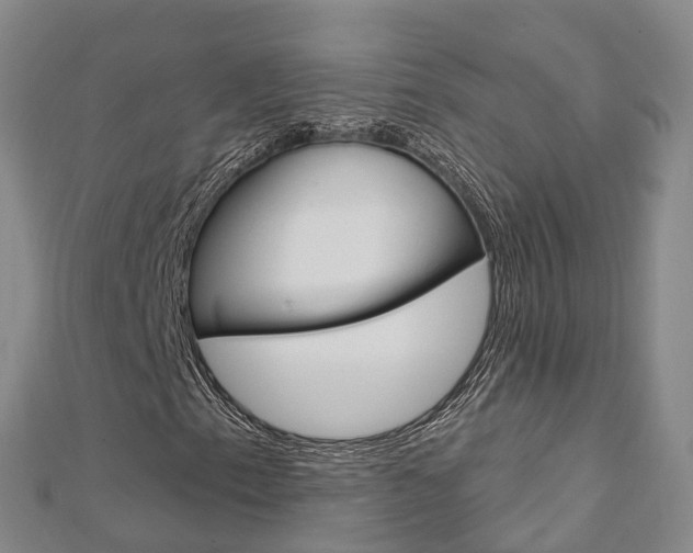 X0000112741153200908201029