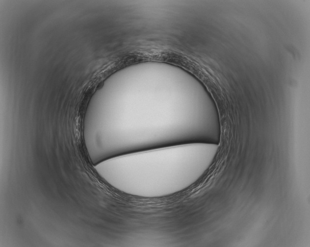 X0000112741156200908201029
