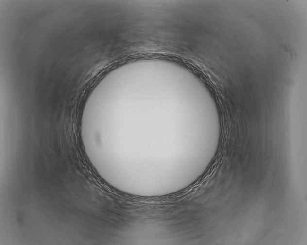 X0000112741157200908201029