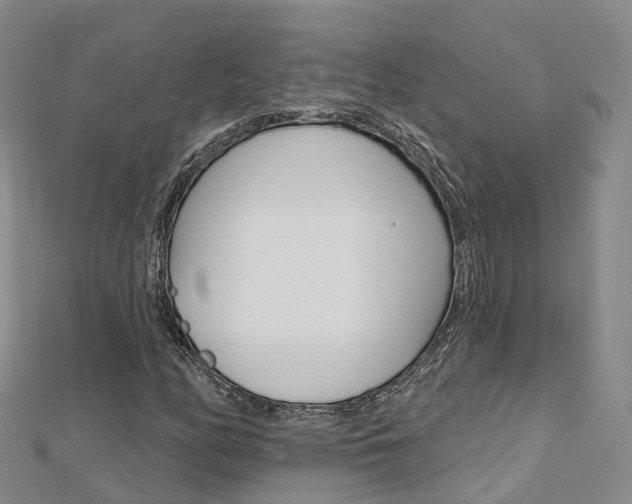 X0000112741158200908201029