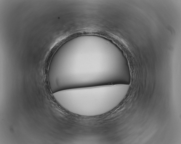 X0000112741160200908201029