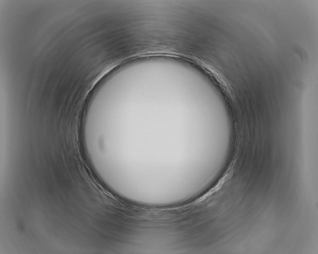 X0000112741162200908201029