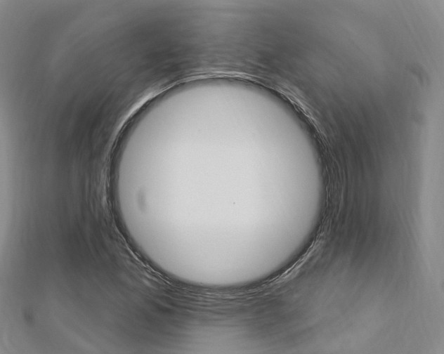 X0000112741165200908201028