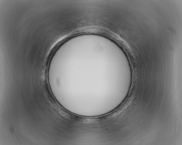 X0000112741166200908201028