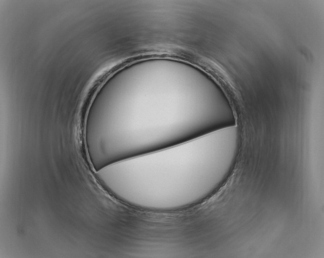 X0000112741172200908201028