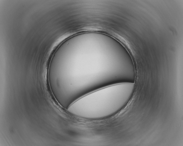 X0000112741179200908201028