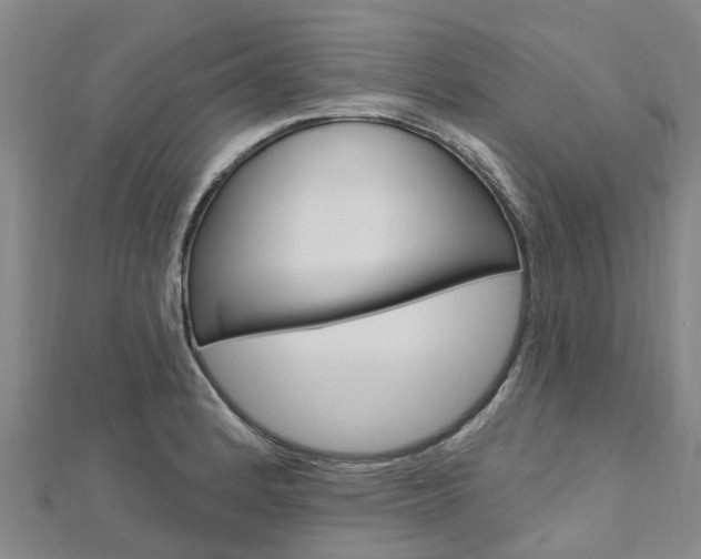 X0000112741184200908201028