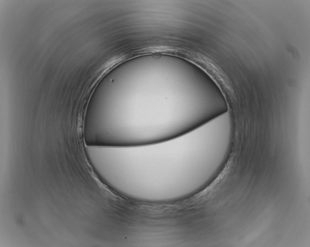 X0000112741185200908201028
