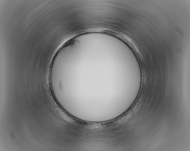 X0000112741186200908201028