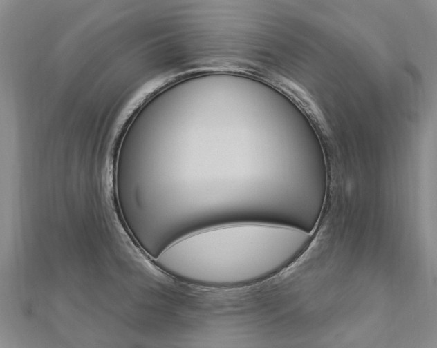 X0000112741188200908201028