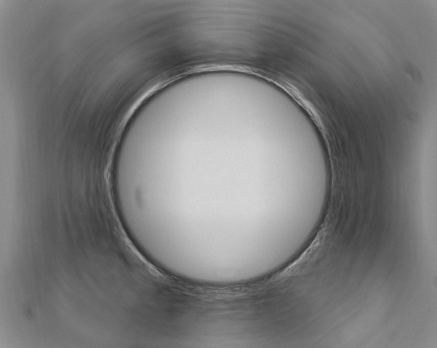 X0000112741189200908201028