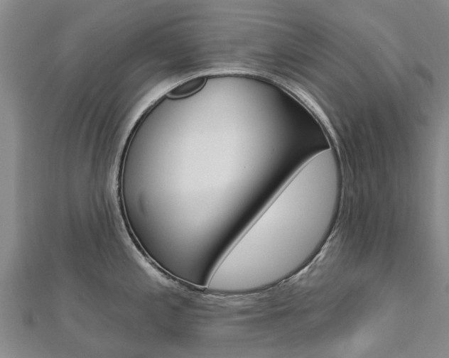 X0000112741197200908201028