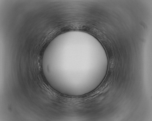 X0000112741202200908201027