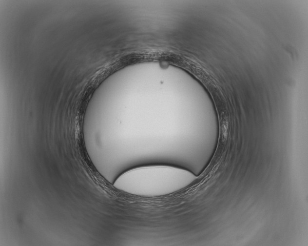 X0000112741204200908201027