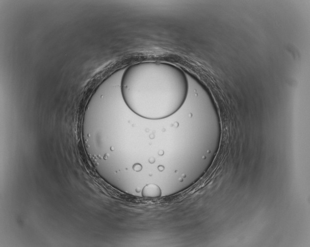 X0000112741205200908201027