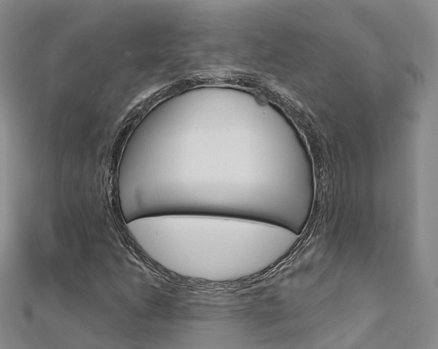 X0000112741206200908201027