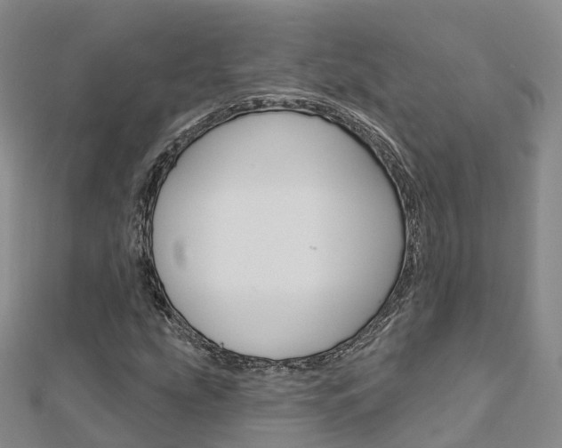 X0000112741207200908201027