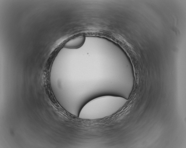 X0000112741208200908201027
