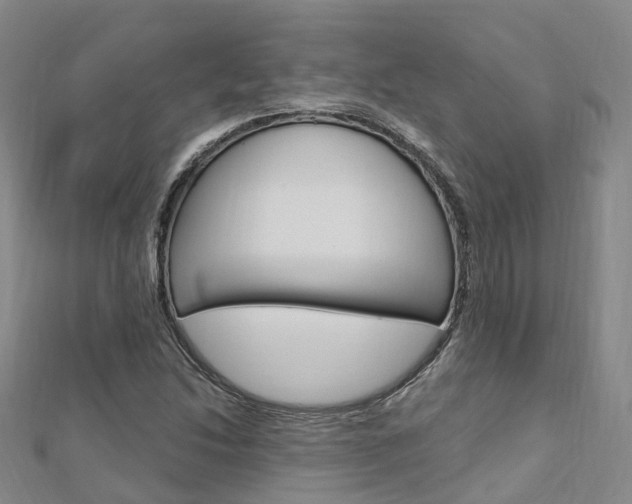 X0000112741214200908201027